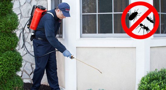 Nazilli Gümüşkurt İlaçlama böcek ilaçlama ve haşere kontrolü — ilaclama-tr.com